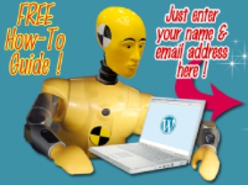 Product picture Word Press For Dumb Dumbs